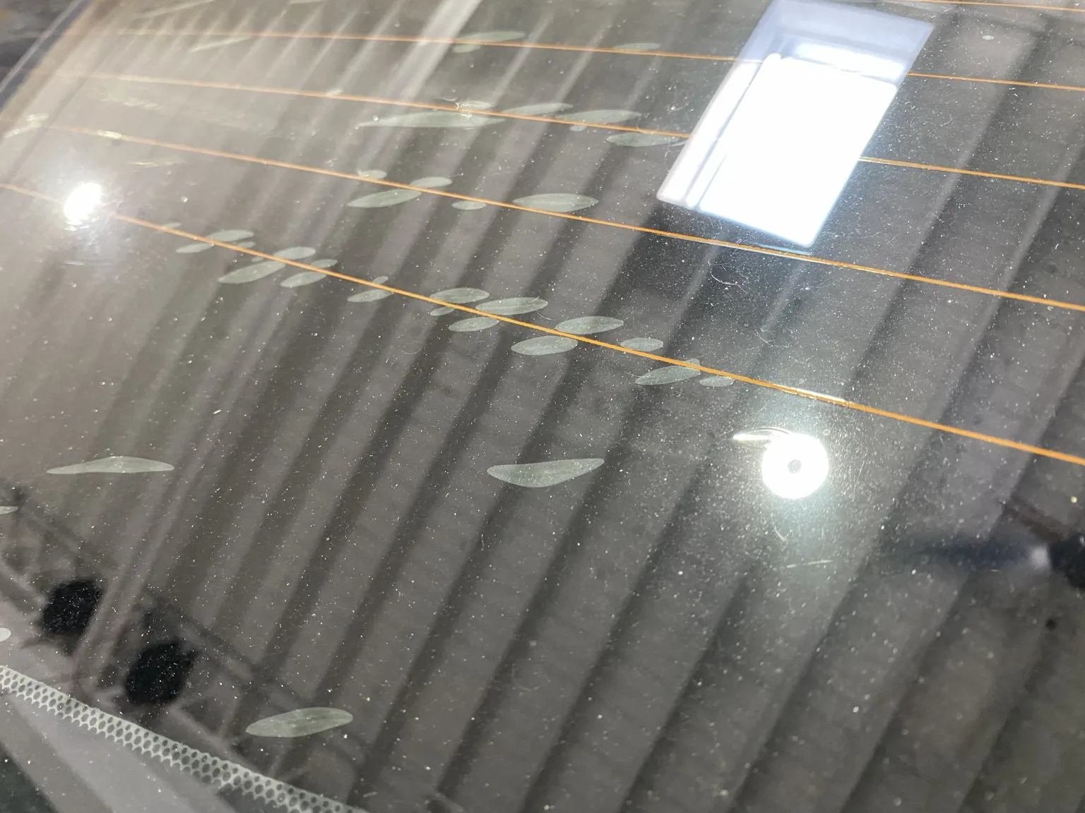 Why Is My Back Window Tint Bubbling? — photo 2
