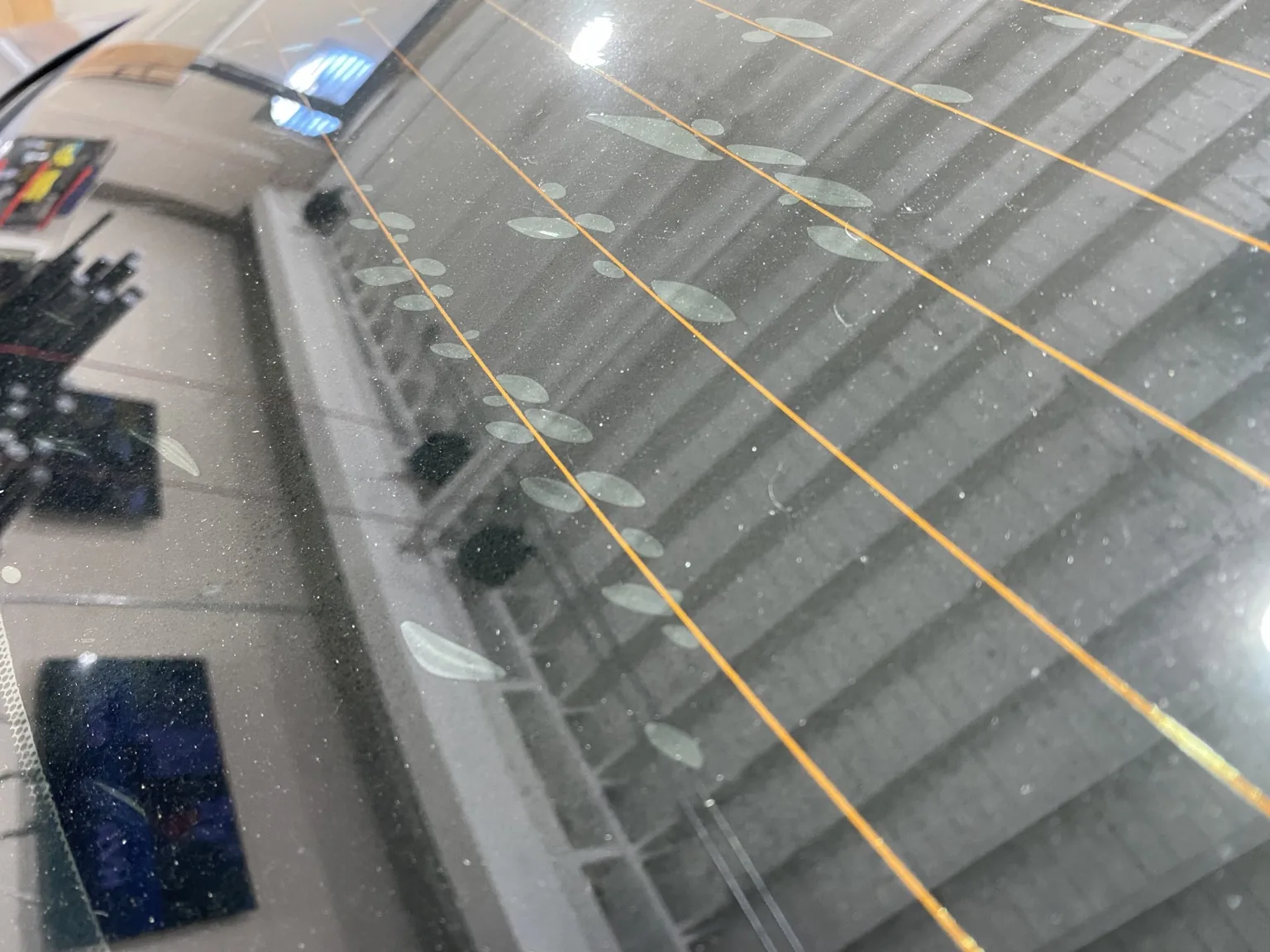 Why Is My Back Window Tint Bubbling? — photo 4