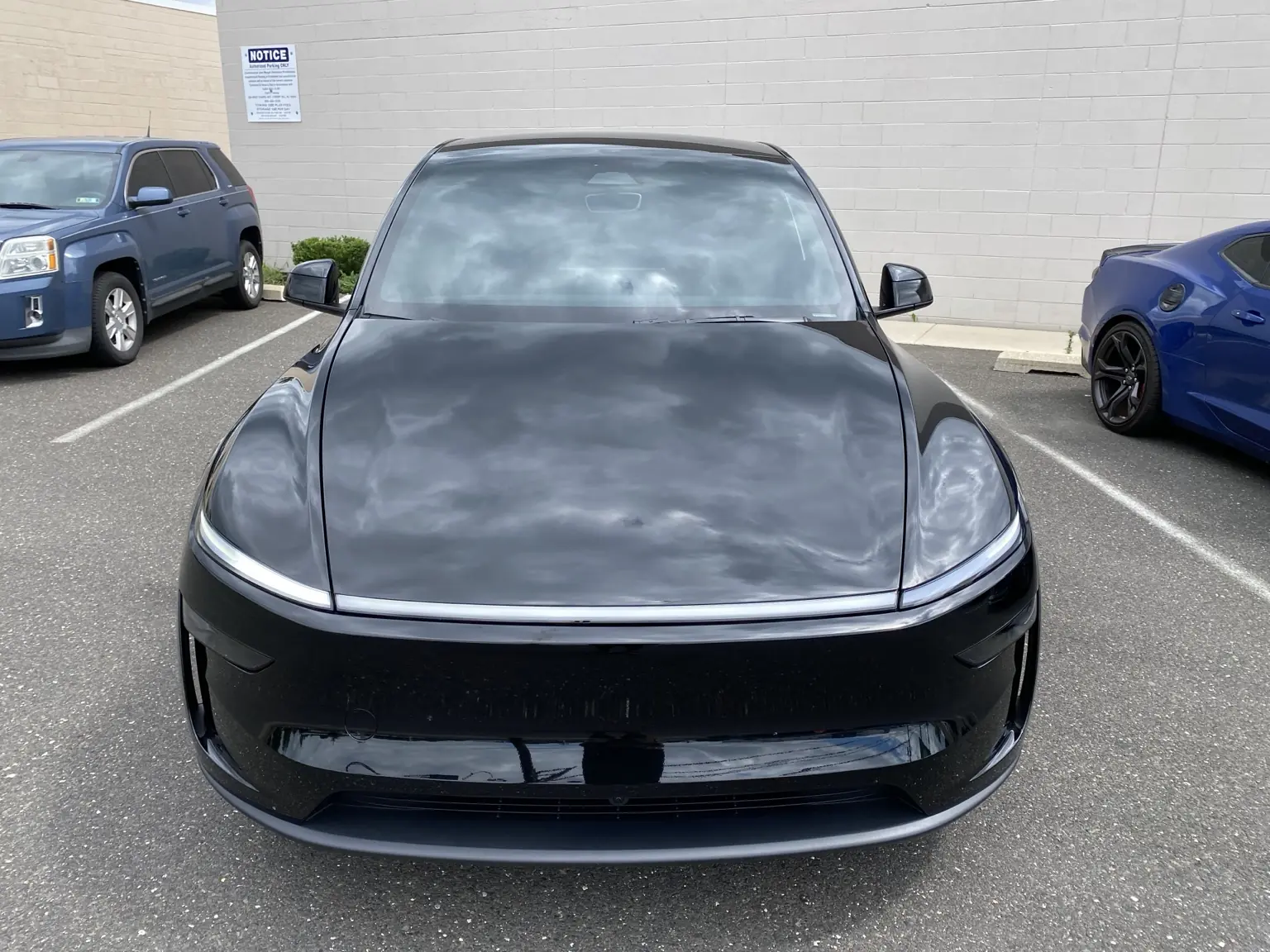 What Does 50% Windshield Tint Look Like on a 2026 Tesla Model Y?