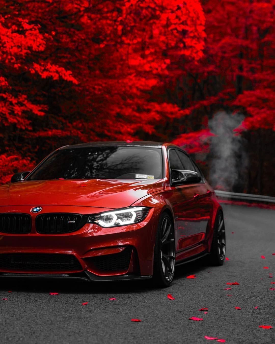 BMW window tinting